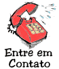 Entre em Contato